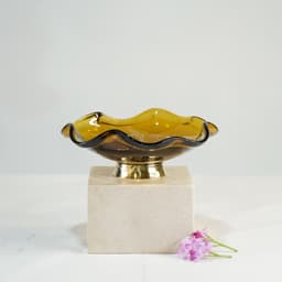 DSC00540.jpg